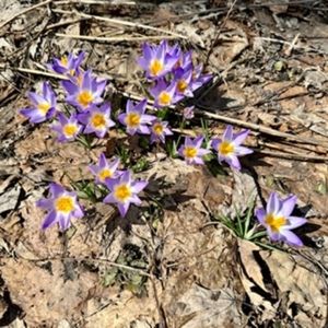 Meet your Posher, Mallory